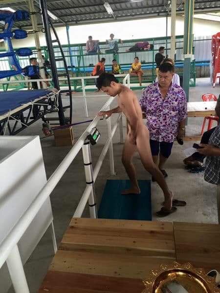 ชอบ..นักมวย