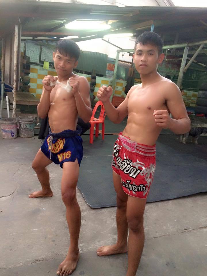 ชอบ..นักมวย