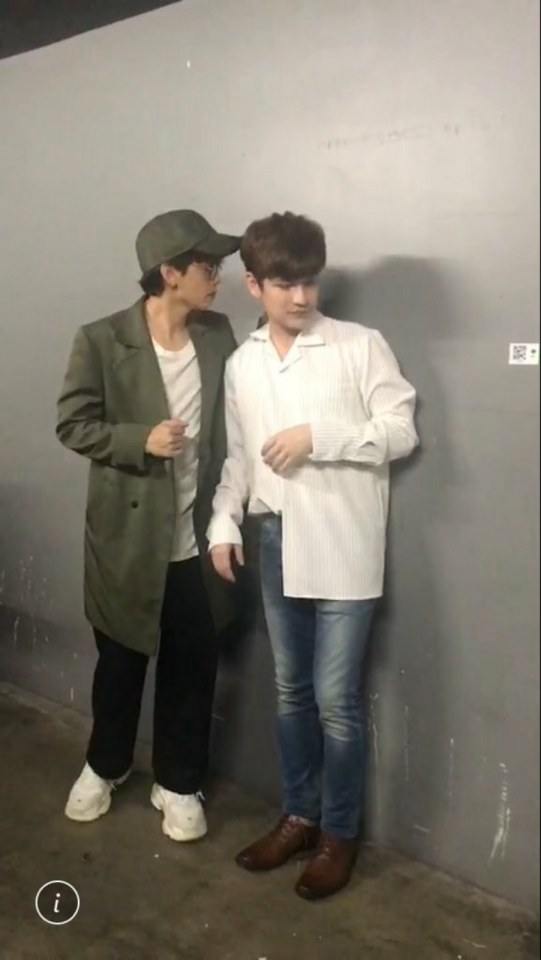 taoKacha everlasting