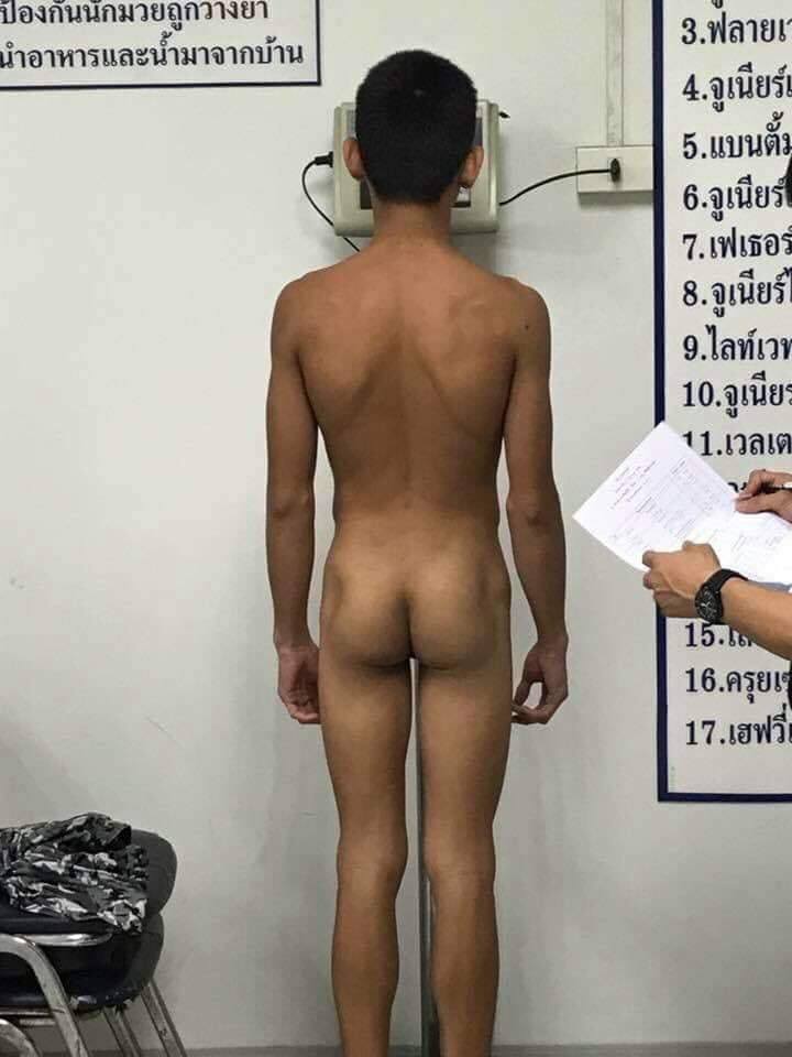 ชอบ...นักมวยV2