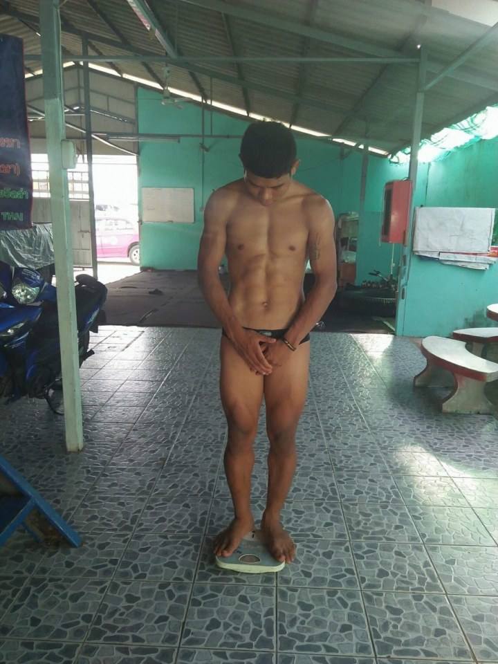 ชอบ...นักมวยV2