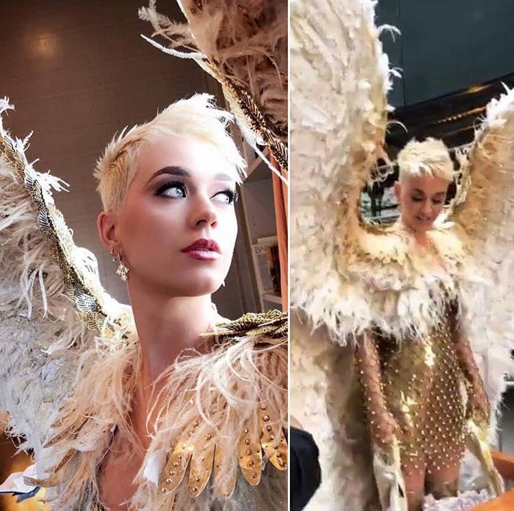 ชุดสวยงาน Met gala2018 (2)