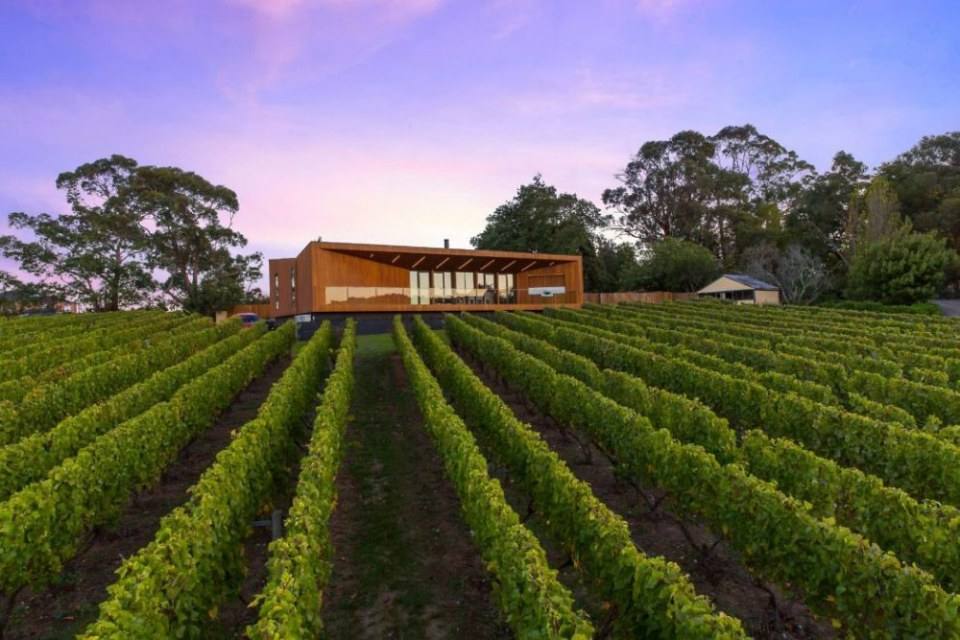 Red Hill Residence by Finnis Architects