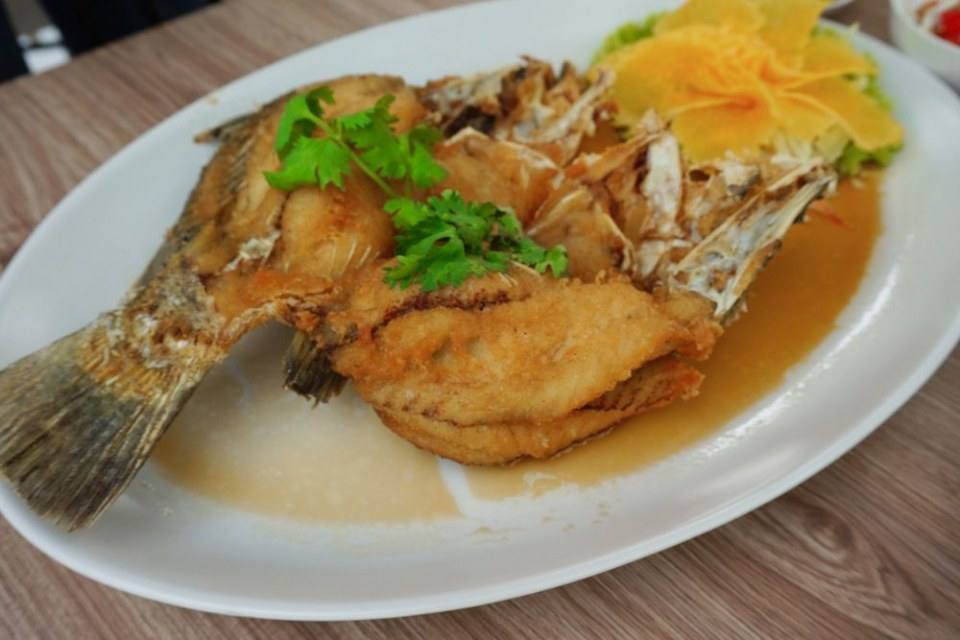 อรีส ARIS ร้านใหม่น่าลอง ย่านพุทธมณฑลสาย5 สามพราน นครปฐม อร่อยบอกต่อ