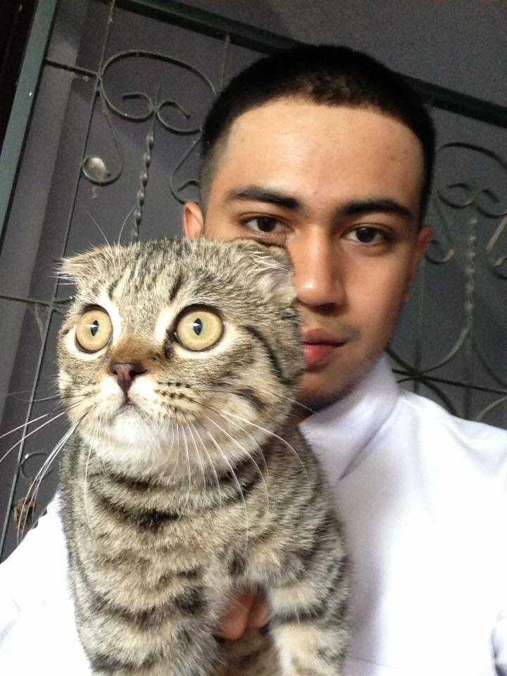 Adin pattani