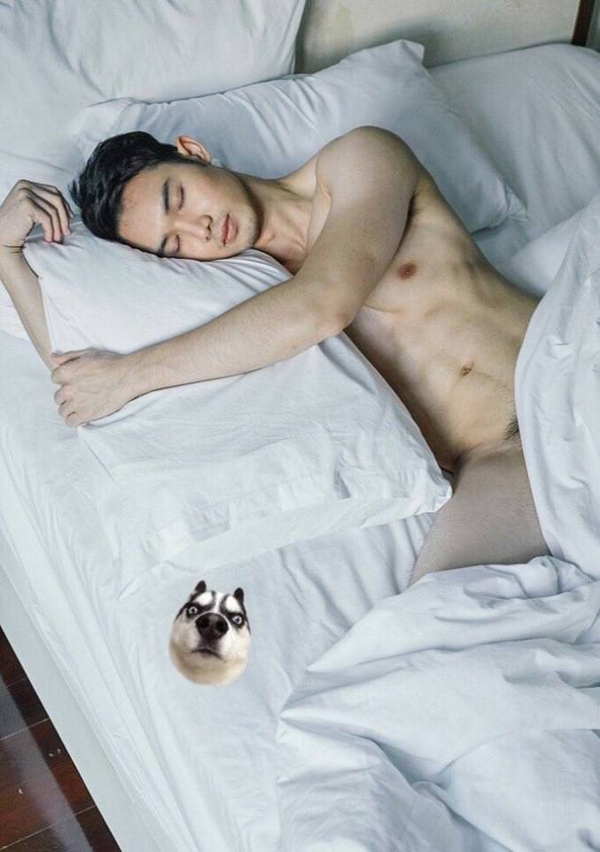 ยำสาหร่าย