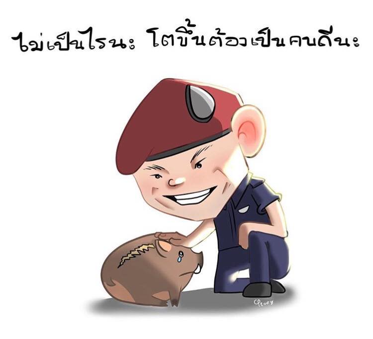 ขอบคุณทุกแรงกาย แรงใจทุกๆคน #13หมูป่ากลับบ้าน