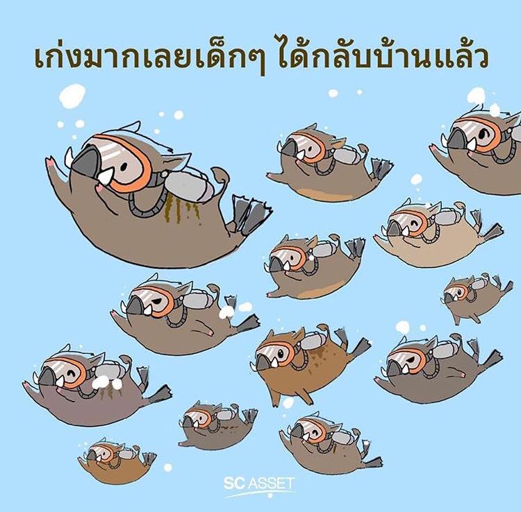 ขอบคุณทุกแรงกาย แรงใจทุกๆคน #13หมูป่ากลับบ้าน
