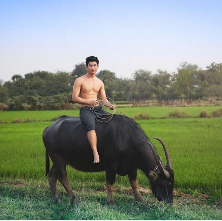 ดีต่อใจ#100(มักบ่าวไทบ้าน)