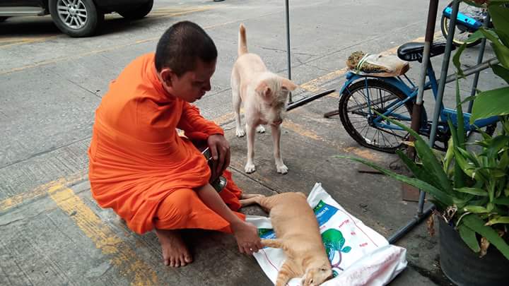 เพื่อนรัก....ต่างสายพันธุ์ - เพื่อนกันตลอดไป