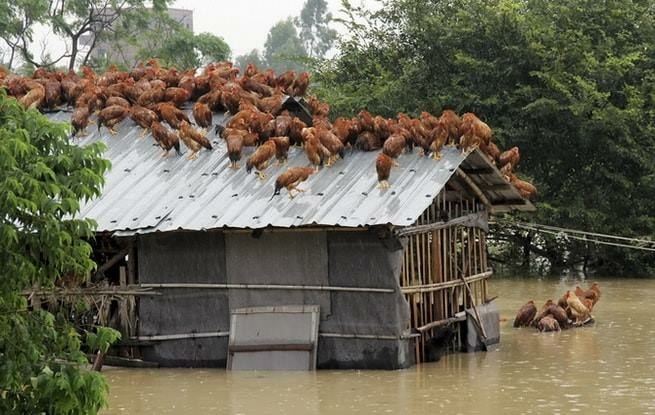 ความทุกข์ระทมของคนลาว