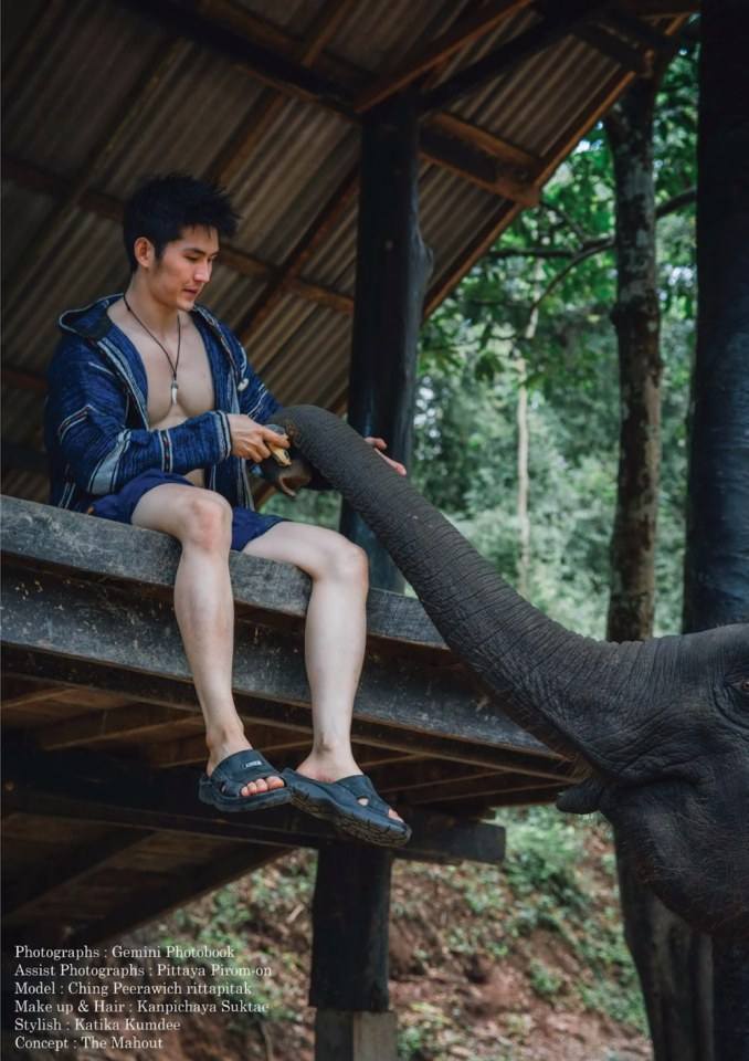 อาชิง พีรวิชญ์