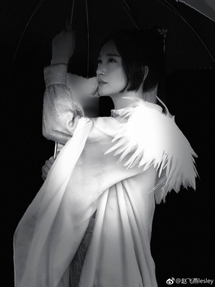 ภาพยนตร์ ศึกเทพยุทธเขาซูซัน ตอน กระบี่มังกรหงส์ The Gods and Demons of Zu Mountain 《蜀山之紫青双剑》 2018 2
