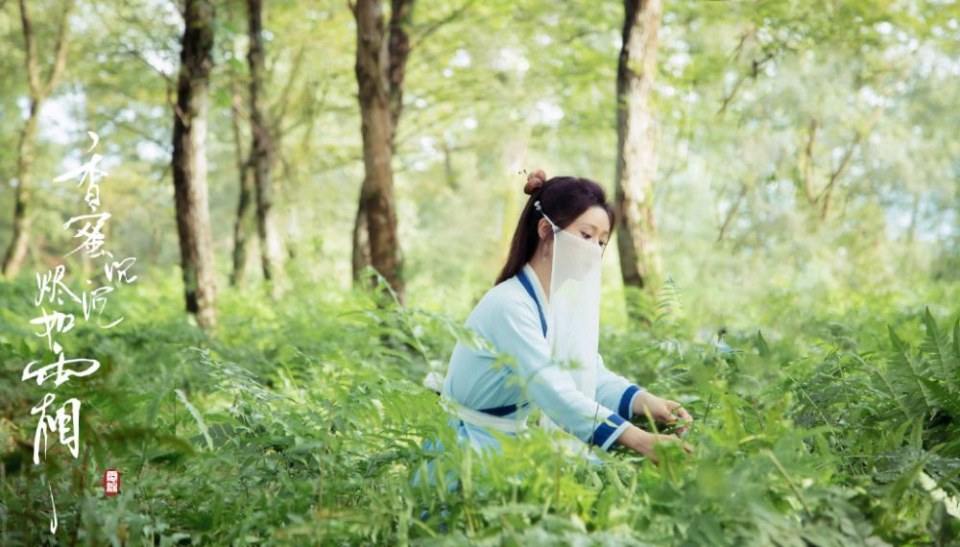 ละคร มหัศจรรย์รัก ลิขิตสวรรค์ Heavy Sweetness, Ash-like Frost 《香蜜沉沉烬如霜》 2017 6