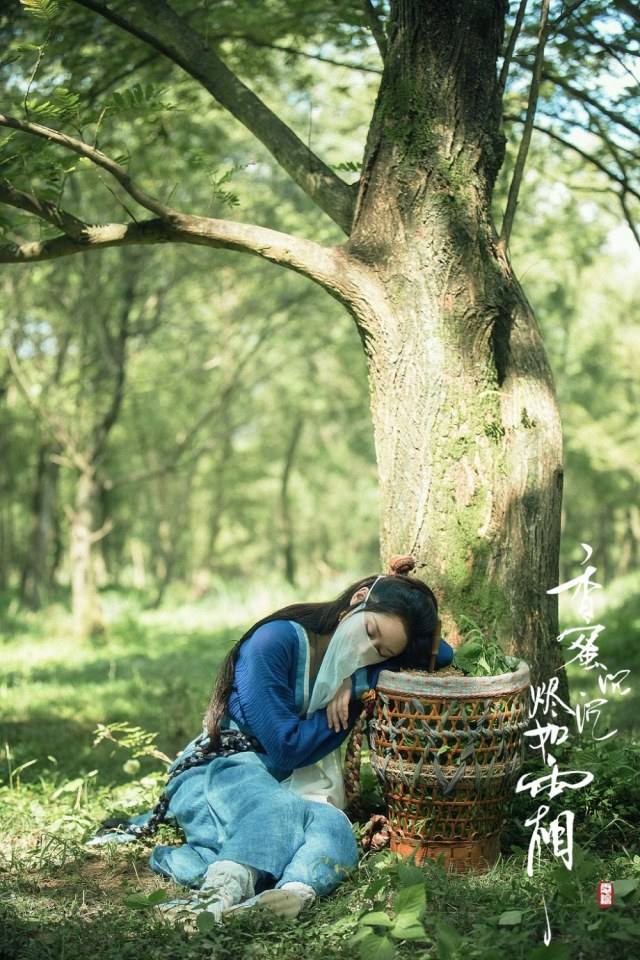 ละคร มหัศจรรย์รัก ลิขิตสวรรค์ Heavy Sweetness, Ash-like Frost 《香蜜沉沉烬如霜》 2017 6