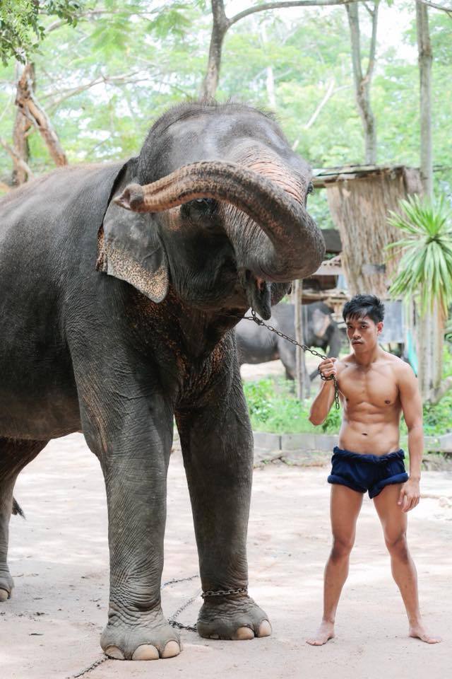 หนุ่มๆจากเวที Mister Pattaya Healthy Guys 2018