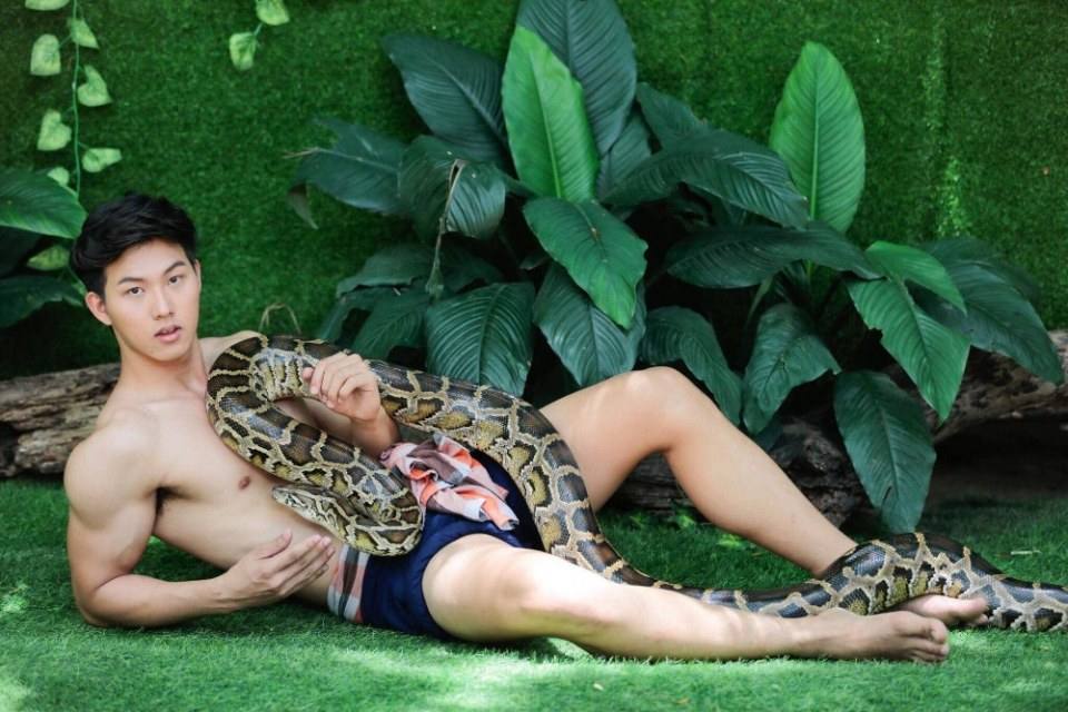 หมูแฮม ธนกร โชคเกิดสกุล