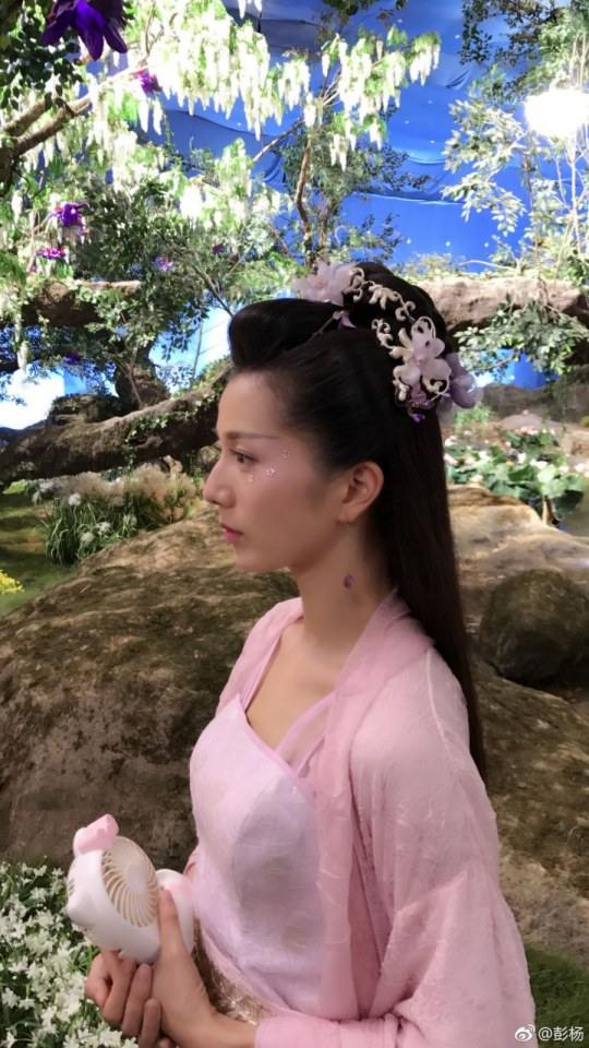 ละคร มหัศจรรย์รัก ลิขิตสวรรค์ Heavy Sweetness, Ash-like Frost 《香蜜沉沉烬如霜》 2017 9
