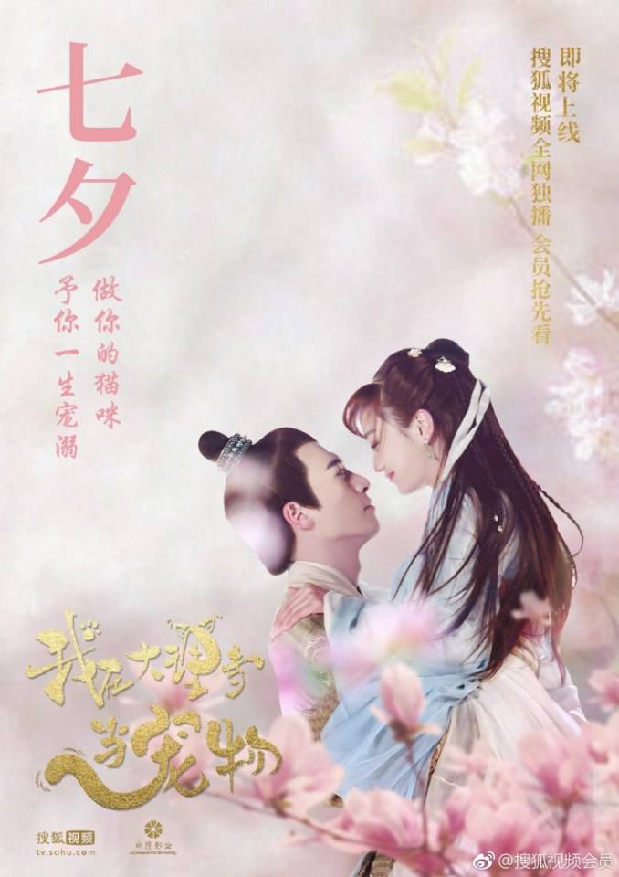 ละคร WO ZAI DA LI SI DANG CHONG WU 《我在大理寺当宠物》 2018 2