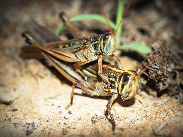 PICTAA.COM เว็บไซต์แจกรูปภาพฟรี!!! ค้นหาแหล่ง #ภาพฟรี #รูปภาพฟรี #รูปฟรี สำหรับการใช้งานส่วนบุคคลและการค้า และไม่จำเป็นระบุแหล่งที่มา ไม่ติดลิขสิทธิ์