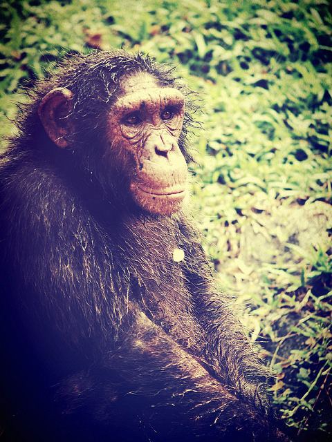 PICTAA.COM เว็บไซต์แจกรูปภาพฟรี!!! ค้นหาแหล่ง #ภาพฟรี #รูปภาพฟรี #รูปฟรี สำหรับการใช้งานส่วนบุคคลและการค้า และไม่จำเป็นระบุแหล่งที่มา ไม่ติดลิขสิทธิ์