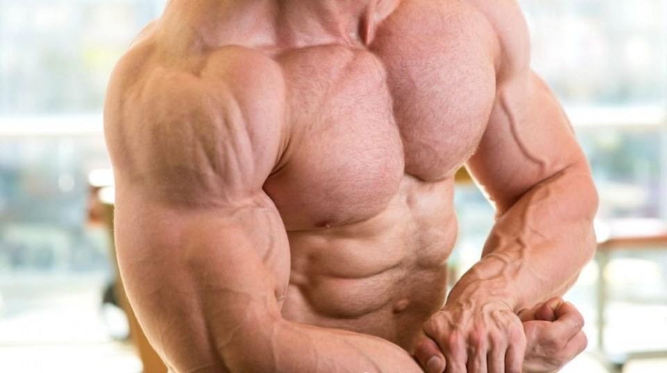 Bodybuilder in the gym NO.1
