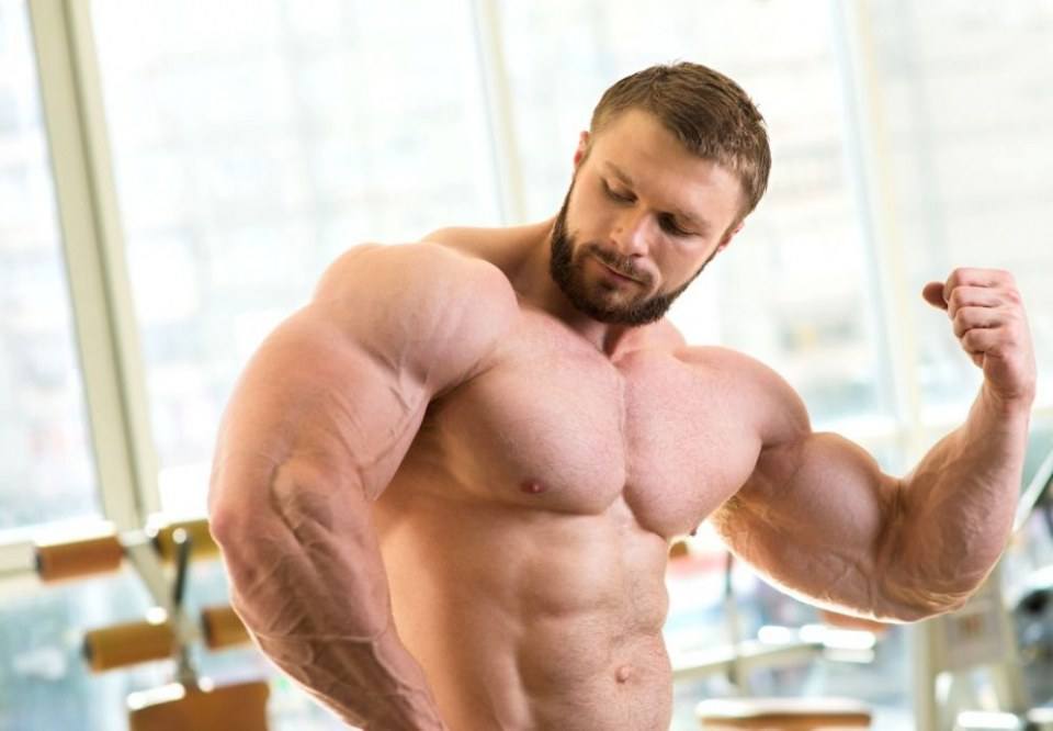 Bodybuilder in the gym NO.1