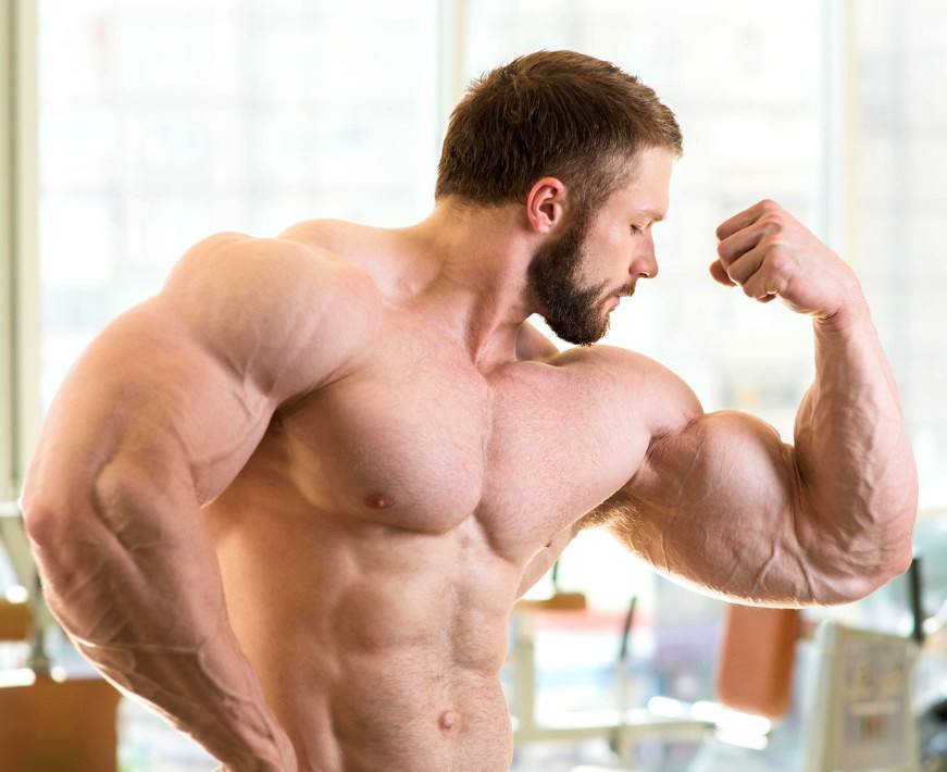 Bodybuilder in the gym NO.1