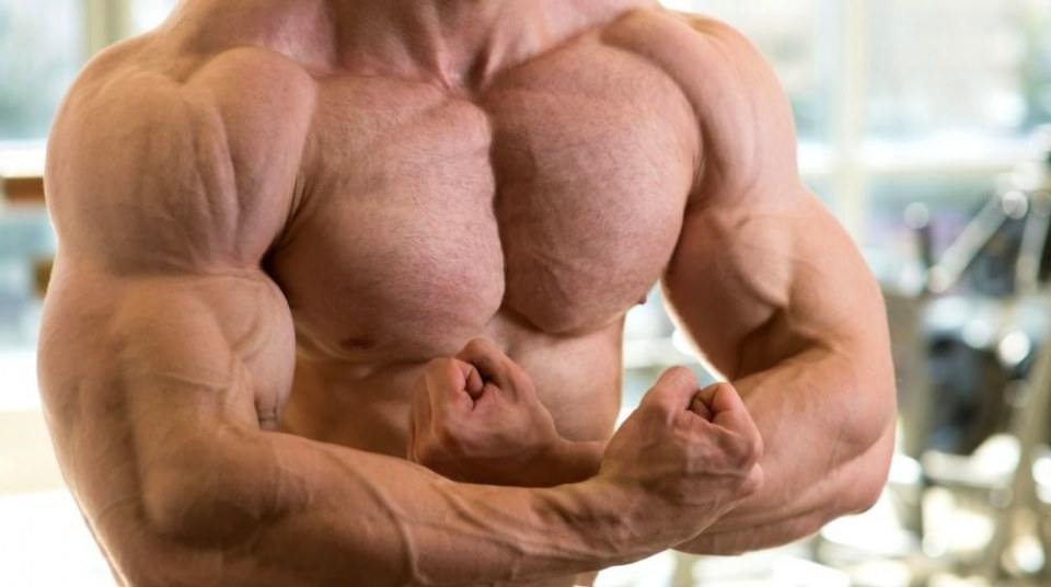 Bodybuilder in the gym NO.1