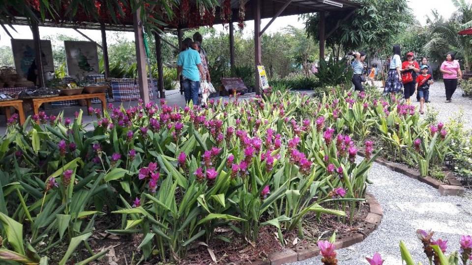 ตลาดหัวปลีสระบุรี