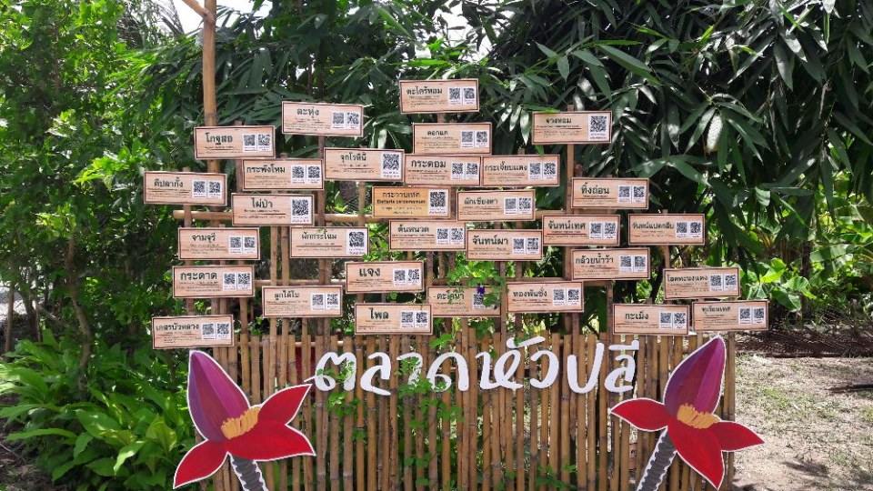 ตลาดหัวปลีสระบุรี