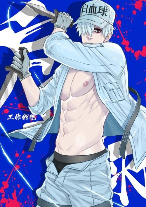 YAOI 534