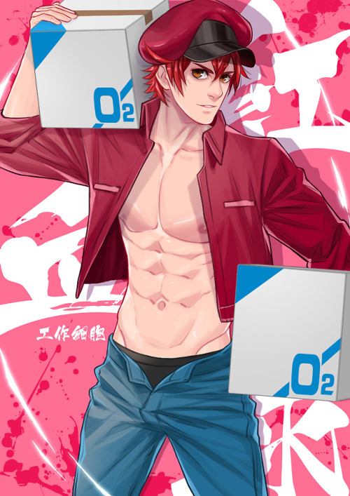 YAOI 534