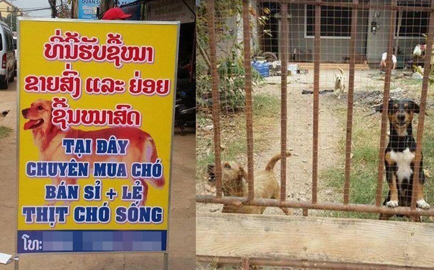แกวในลาว