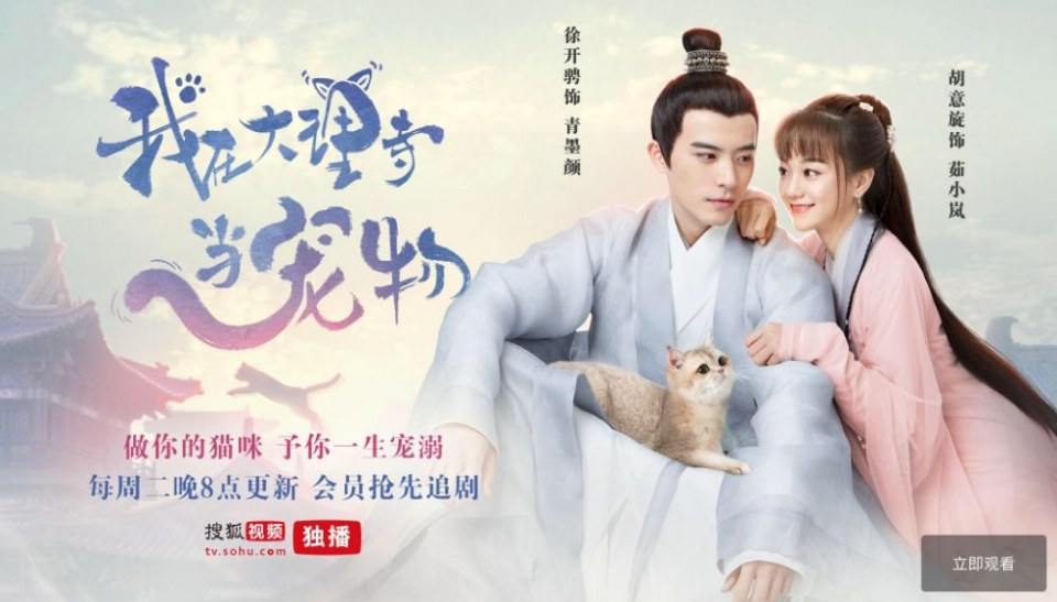ละคร เหมียวน้อยจอมซน WO ZAI DA LI SI DANG CHONG WU 《我在大理寺当宠物》 2018 4