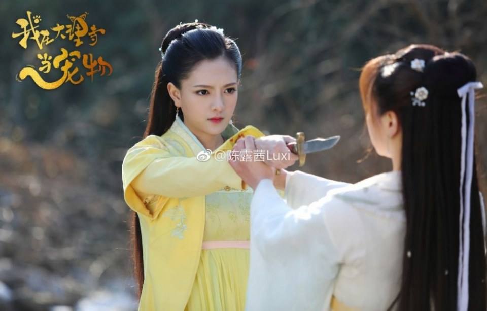 ละคร เหมียวน้อยจอมซน WO ZAI DA LI SI DANG CHONG WU 《我在大理寺当宠物》 2018 4
