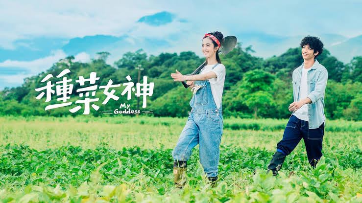 種菜女神 My Goddess