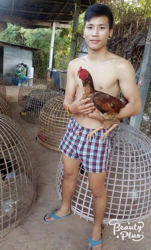 กระชุ่มกระชวย