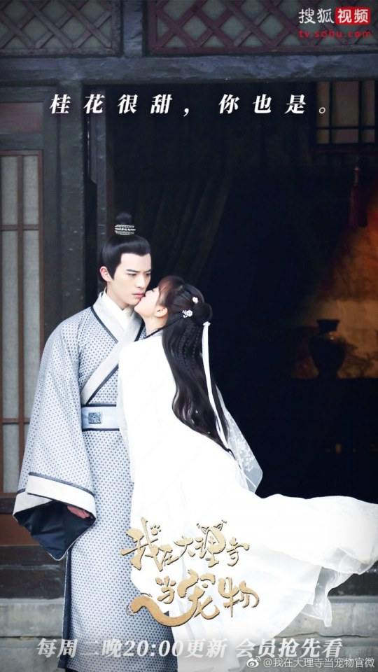 ละคร เหมียวน้อยจอมซน WO ZAI DA LI SI DANG CHONG WU 《我在大理寺当宠物》 2018 5