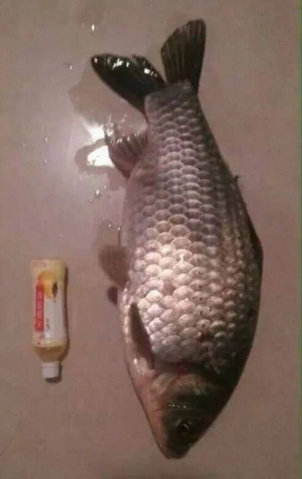 ถ่ายยังไงให้ของดูใหญ่ขึ้น