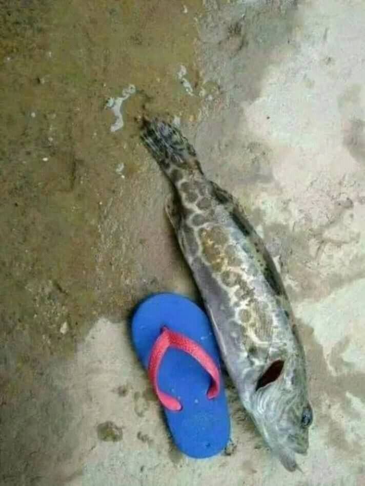 ถ่ายยังไงให้ของดูใหญ่ขึ้น