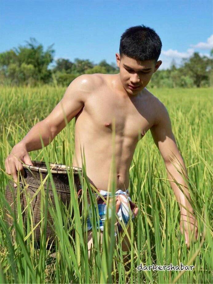 ความฟิน