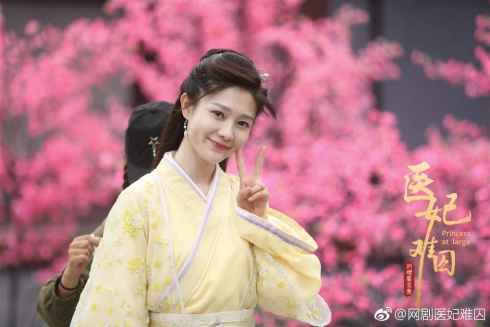 ละคร  Princess at large 《医妃难囚》 2018