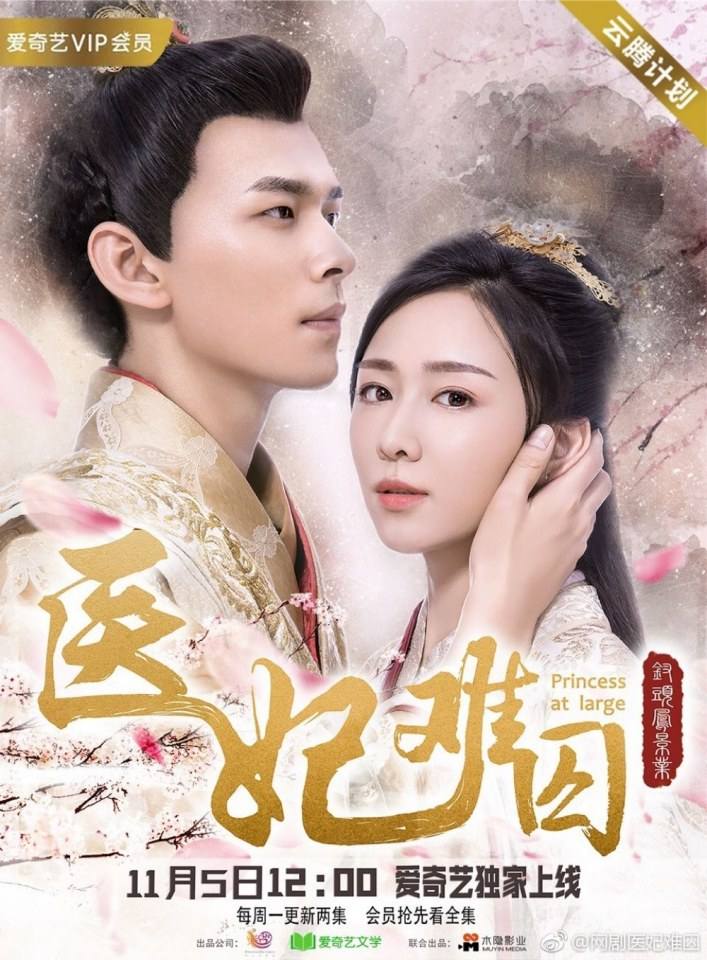 ละคร  Princess at large 《医妃难囚》 2018