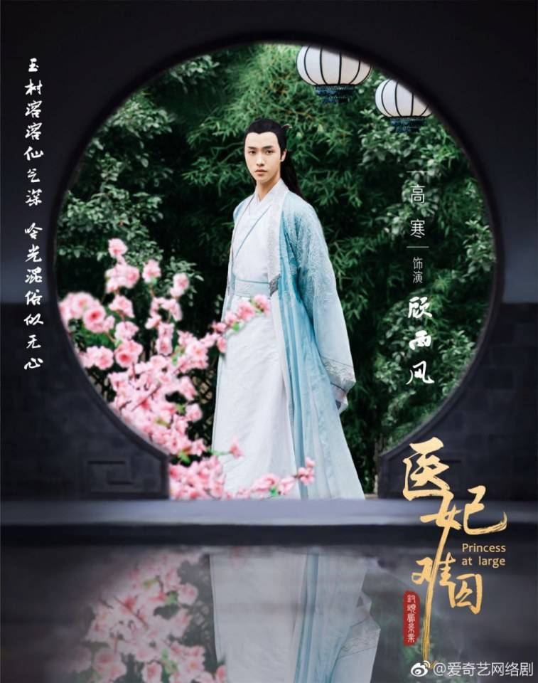 ละคร  Princess at large 《医妃难囚》 2018