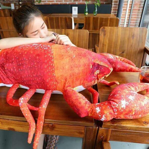 ขอหมอนใบนั้นฯ
