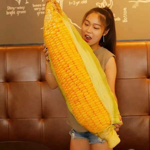 ขอหมอนใบนั้นฯ