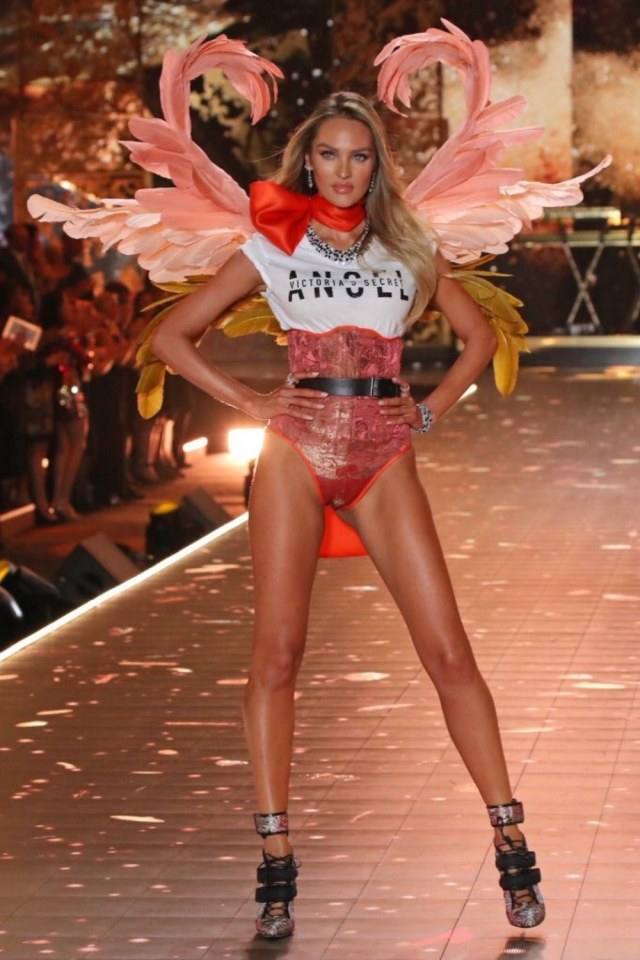 VSFS2018