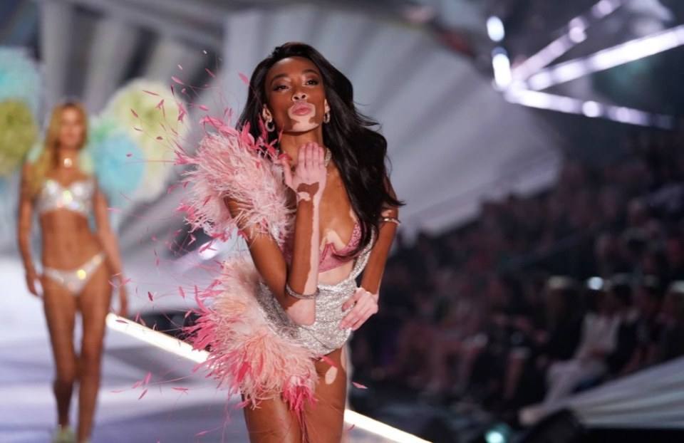 VSFS2018