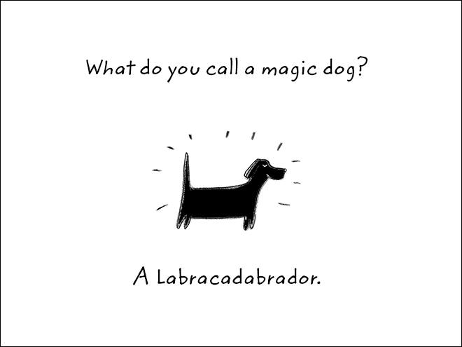 Just a laugh.